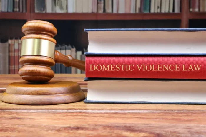 Domestic Violence Laws and Protective Orders - readd.org 2024