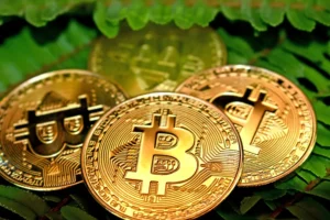 How to Use Ledger Nano S Cryptocurrency Wallet? — Ledger Nano S, Hardware Wallet, Security 1 How to Use Ledger Nano S Cryptocurrency Wallet? — Ledger Nano S, Hardware Wallet, Security - readd.org 2025