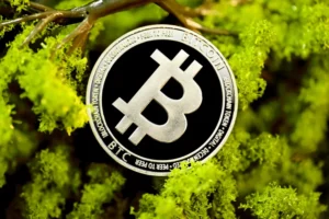 What is Blockchain.info Cryptocurrency Wallet? — Blockchain.info, wallet, security 1 What is Blockchain.info Cryptocurrency Wallet? — Blockchain.info, wallet, security - readd.org 2025