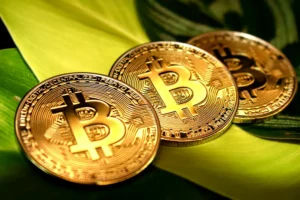 What is the Ledger Nano X crypto wallet? - Ledger Nano X, hardware, security 1 What is the Ledger Nano X crypto wallet? - Ledger Nano X, hardware, security - readd.org 2025