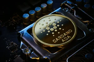 What is Elrond (EGLD) Cryptocurrency Token? — Elrond, Fast Blockchain, Scalability 1 What is Elrond (EGLD) Cryptocurrency Token? — Elrond, Fast Blockchain, Scalability - readd.org 2025
