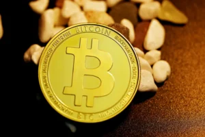 What is BitGo Cryptocurrency Wallet? - BitGo, Institutional, Security 1 What is BitGo Cryptocurrency Wallet? - BitGo, Institutional, Security - readd.org 2025