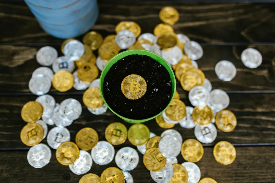 What is BitBox Cryptocurrency Wallet? — BitBox, Hardware Wallet, Security 1 What is BitBox Cryptocurrency Wallet? — BitBox, Hardware Wallet, Security - readd.org 2025
