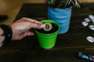 What is Curve Finance (CRV) Cryptocurrency Token? — Curve Finance, Stablecoins, Liquidity 1 What is Curve Finance (CRV) Cryptocurrency Token? — Curve Finance, Stablecoins, Liquidity - readd.org 2025