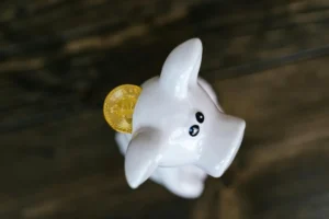 What is a Bull and Bear Market? - Understanding Cryptocurrency Trends 1 What is a Bull and Bear Market? - Understanding Cryptocurrency Trends - readd.org 2025