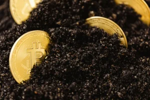 What is Binance Chain Wallet? - Binance Chain Wallet, Binance, Security 1 What is Binance Chain Wallet? - Binance Chain Wallet, Binance, Security - readd.org 2025