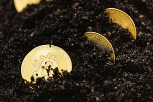 What is Trust Wallet Cryptocurrency Wallet? - Trust Wallet, Binance, Mobile Wallet 1 What is Trust Wallet Cryptocurrency Wallet? - Trust Wallet, Binance, Mobile Wallet - readd.org 2025