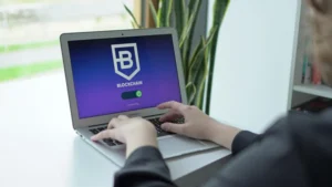 What is a public blockchain? - An open and transparent network for everyone 1 What is a public blockchain? - An open and transparent network for everyone - readd.org 2025