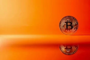 What is Exodus Cryptocurrency Wallet? - Exodus, Multicurrency, Convenience 1 What is Exodus Cryptocurrency Wallet? - Exodus, Multicurrency, Convenience - readd.org 2025