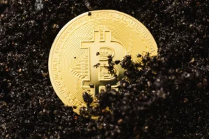 What is Chiliz (CHZ) Cryptocurrency Token? — Chiliz, Sports Tokens, Fan Economy 1 What is Chiliz (CHZ) Cryptocurrency Token? — Chiliz, Sports Tokens, Fan Economy - readd.org 2025