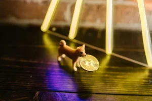 What is a crypto index fund and why do you need one? - crypto index funds, investments, passive income 1 What is a crypto index fund and why do you need one? - crypto index funds, investments, passive income - readd.org 2025
