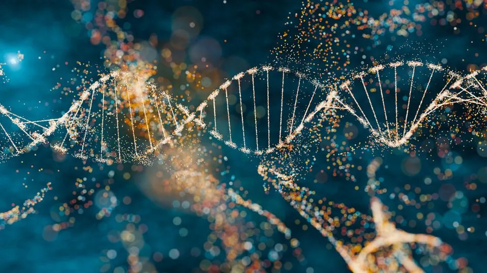 Ancient Viral Remnants Found to Influence Early Human Development 1 Ancient Viral Remnants Found to Influence Early Human Development - readd.org 2025