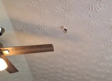 Ancient Meteorite Crashes Through Georgia Home, Possibly Predates Earth 1 Ancient Meteorite Crashes Through Georgia Home, Possibly Predates Earth - readd.org 2025
