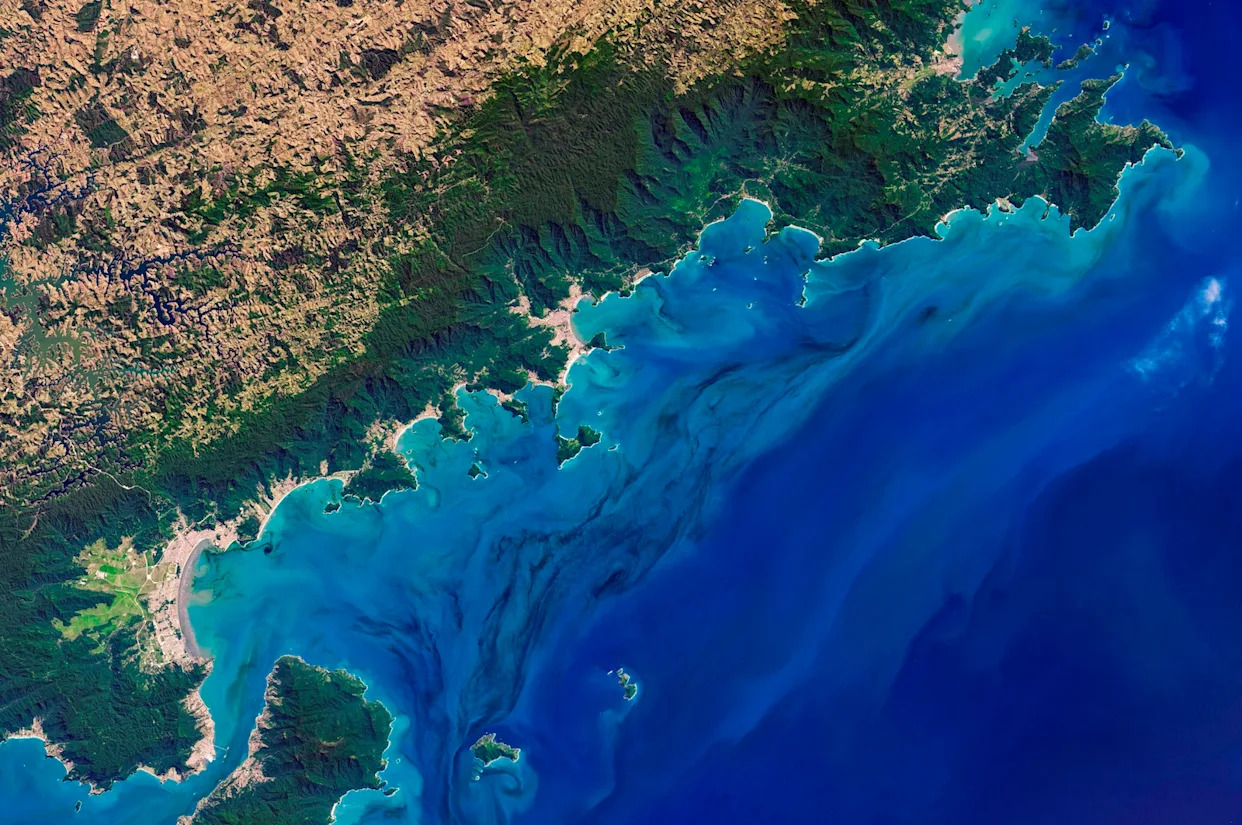 Ocean Microbes Offer Potential Climate Solution, But Risks Remain 1 Ocean Microbes Offer Potential Climate Solution, But Risks Remain - readd.org 2025